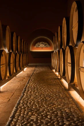 Aperitivo al Chiosco